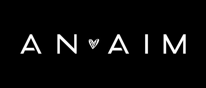 Logo ANAIM Franchising