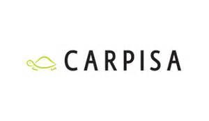 Logo Carpisa Franchising