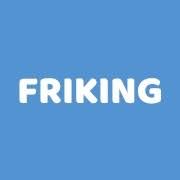 Logo Friking Franchising