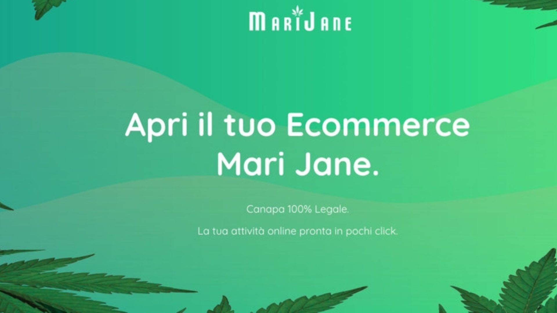 MariJane Franchising