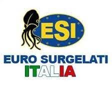 Logo EURO Surgelati Italia Franchising