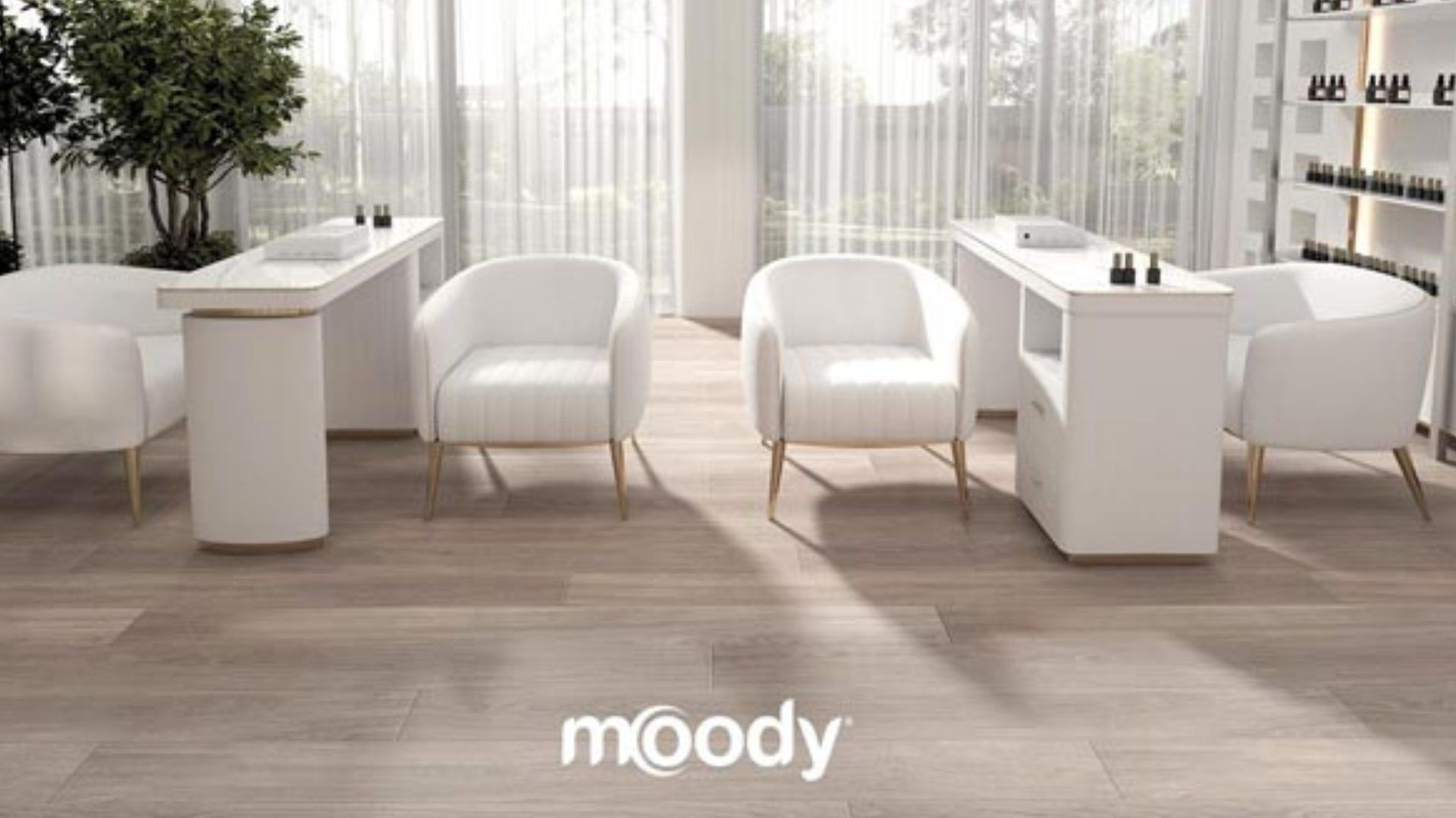 Moody Franchising