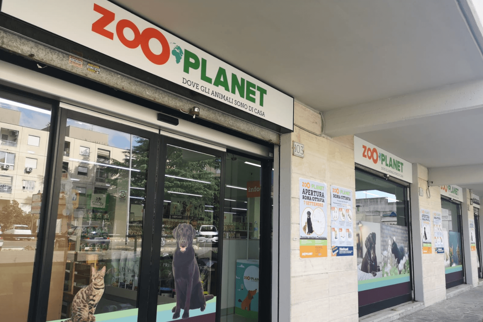 Zooplanet Franchising